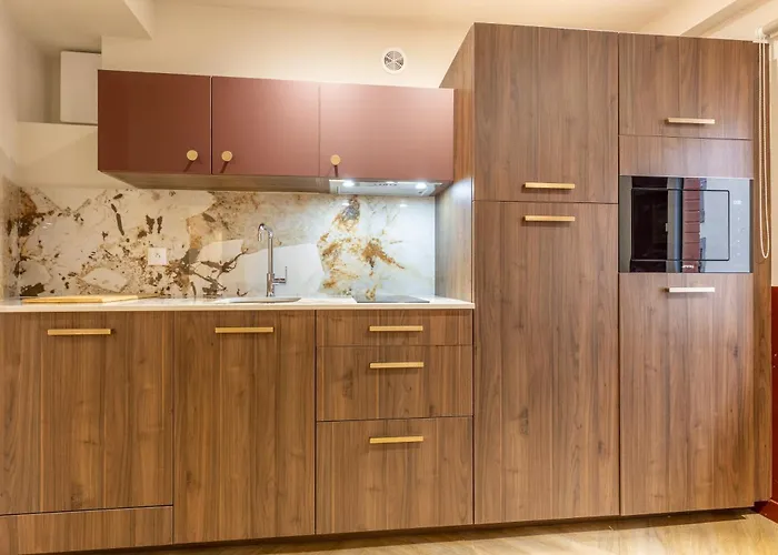 Apartman Chic & Spacieux Hyper-centre C Clermont-Ferrand